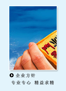 新澳门历史记录查询