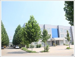 新澳门历史记录查询