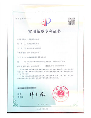 新澳门历史记录查询